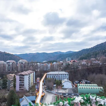 The Mountain Nest Apartment Sinaia Exterior photo